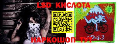 ECSTASY Камышлов