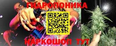 ECSTASY Камышлов