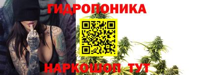 ECSTASY Камышлов