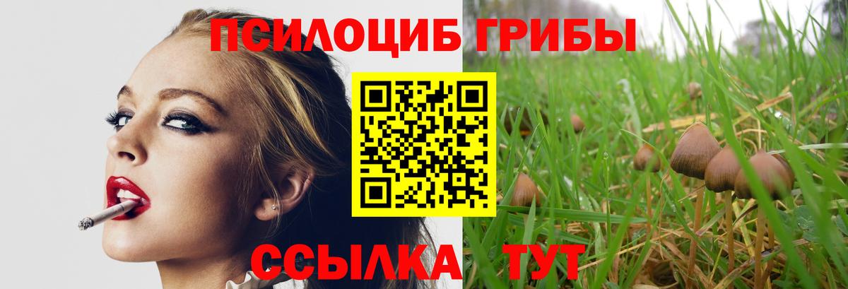 Псилоцибиновые грибы MAGIC MUSHROOMS  Вход с VPN  Коряжма  Псилоцибиновые грибы Psilocybe 